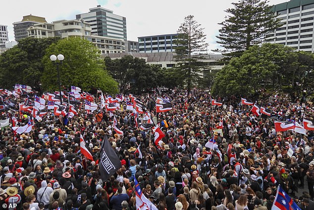 A proposed law has caused outrage among some Maori communities in the country.