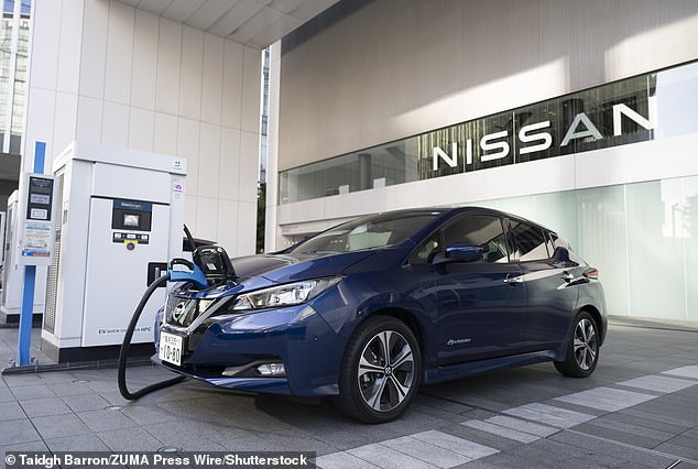 Nissan employs around 7,000 people in the UK, including 6,000 at the country's largest car manufacturing plant in Sunderland.