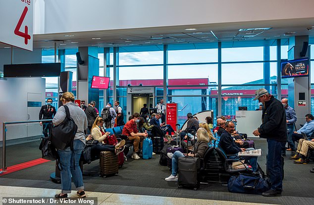 The terminal currently processes 1,500 bags per hour during peak times, but the upgrade will mean this will increase to 1,800 bags per hour by 2026 (pictured, Sydney Airport).