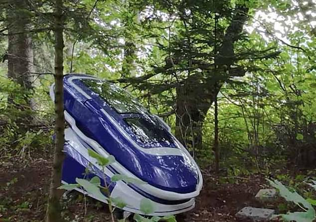 The first use of the Sarco capsule took place in the middle of the forest