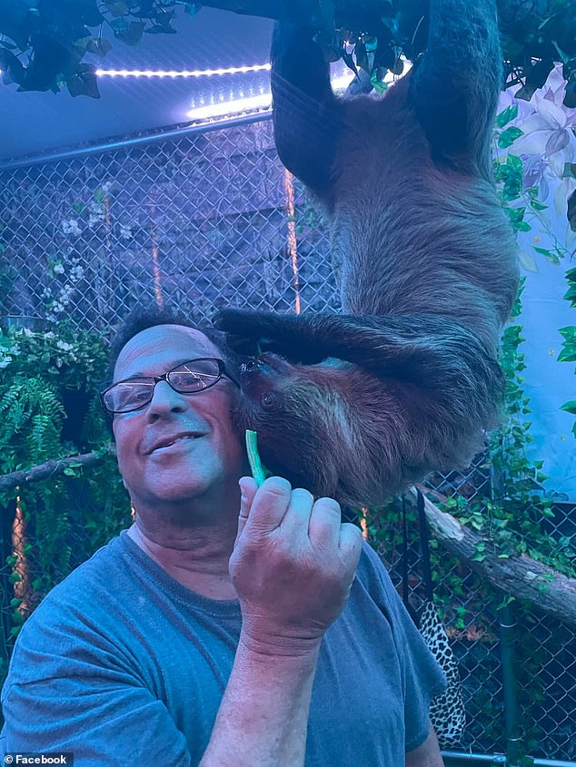 Hensley allegedly enlisted the help of New York-based roadside zoo owner Larry Wallach (pictured), who gave the Florida resident his license to import bears. Wallach cited for harboring baby sloths in unapproved locations