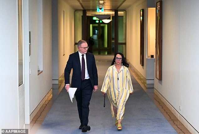 Indigenous Voice to Parliament was rejected during a referendum in October, despite the best efforts of Linda Burney (right) and Anthony Albanese (left).