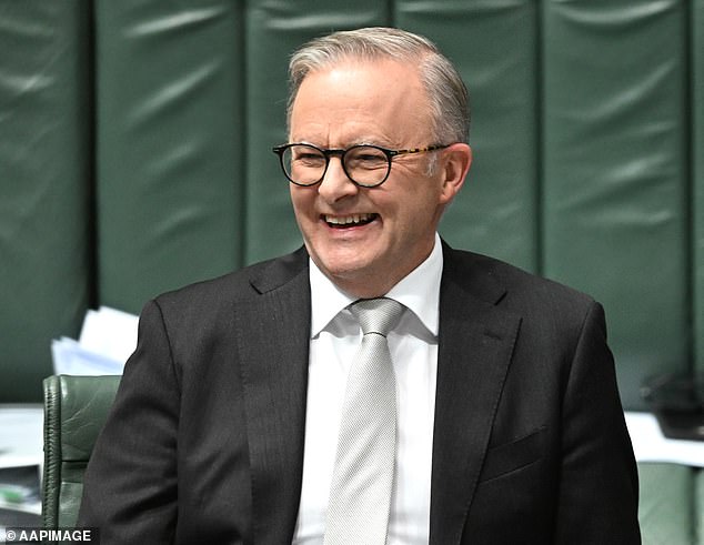 Albanese (pictured) has previously opposed policies that would disadvantage property investors and improve housing affordability.