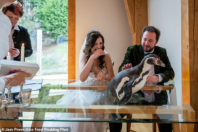 Jen and Tom had a lot of fun with Pringle the penguin.