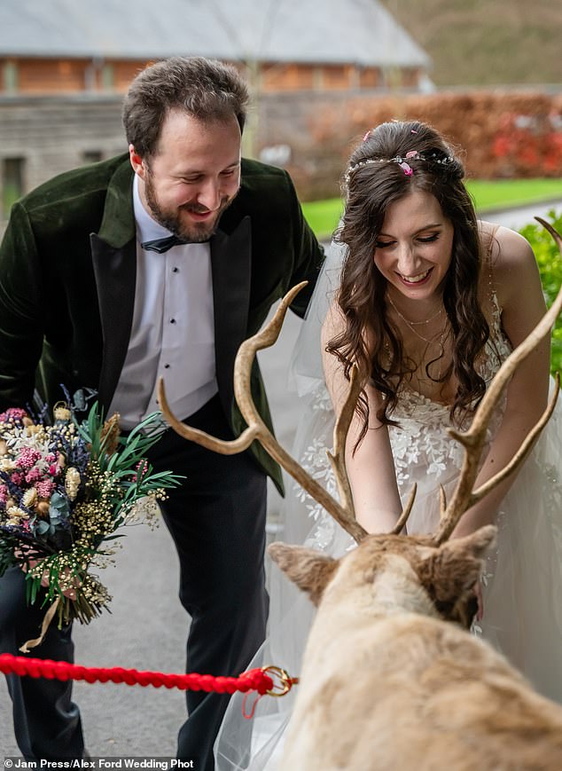 The couple also hired a reindeer from a petting zoo for their reception.