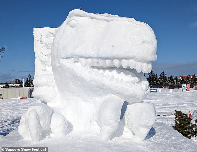 1707400799 473 Boldly go where snowman has gone before Spellbinding pictures show