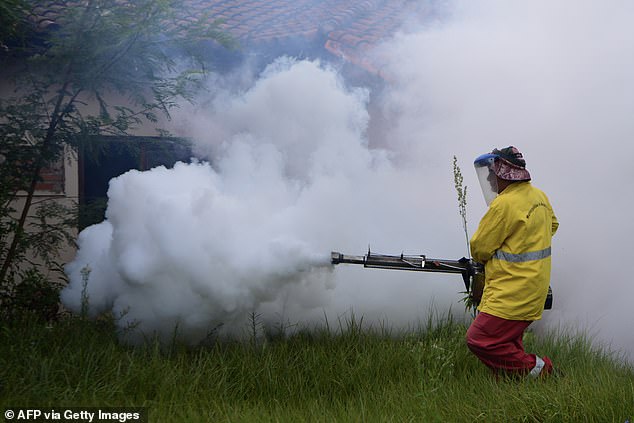 A municipal worker fumigates during an operation aimed at eradicating the Aedes aegypti mosquito - which transmits dengue - in Asunción, Paraguay, on January 26.