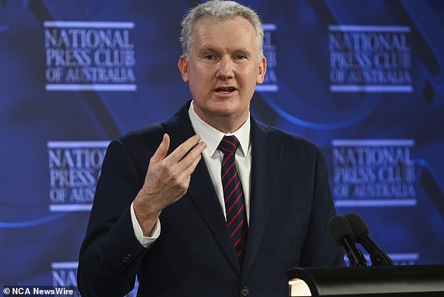 The majority of Australian senators have declared their support for the legislation, Employment Minister Tony Burke of the ruling center-left Labor Party said in a statement on Wednesday.
