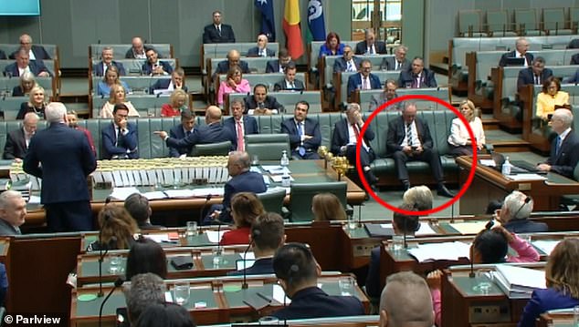 Barnaby Joyce can be seen in Parliament on Wednesday wearing the same blue and white tie.