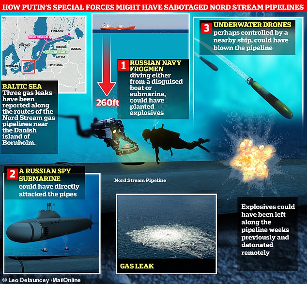 Russia was also accused of carrying out the Nord Stream gas explosions. Explanations range from divers to spy submarines and underwater drones, with one possible reason crippling Europe's winter energy supply.