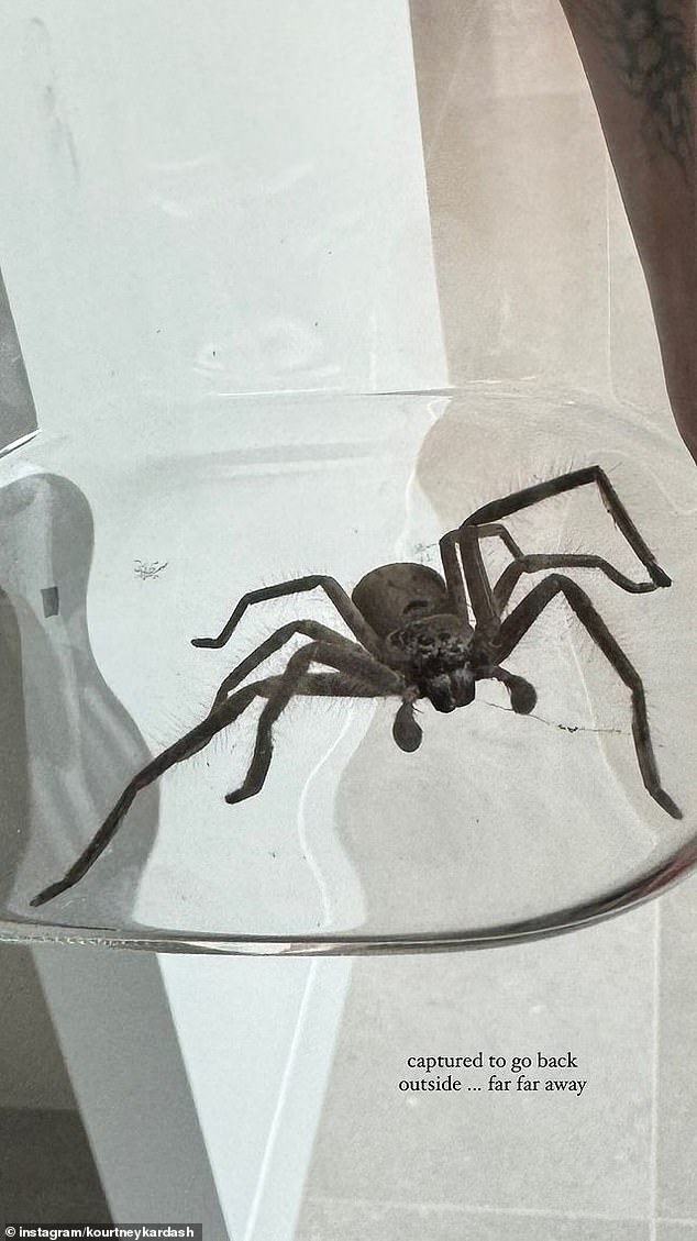 While trying to relax in her luxurious Sydney hotel room, the Keeping Up With The Kardashians star came face to face with a huge huntsman spider.