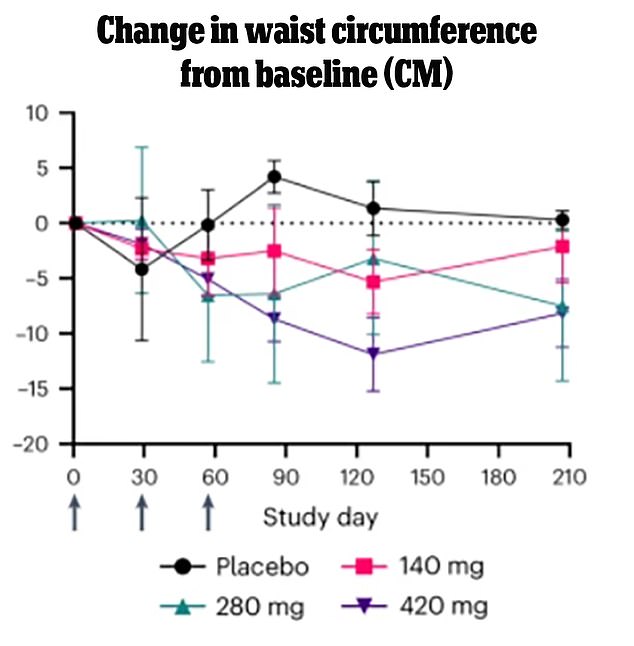 People who received the highest dose of the monthly injectable experienced a steady decrease in waist circumference. The variability in centimeters lost reflects high variability in such a small patient sample. They also saw a sustained drop after stopping the shooting.