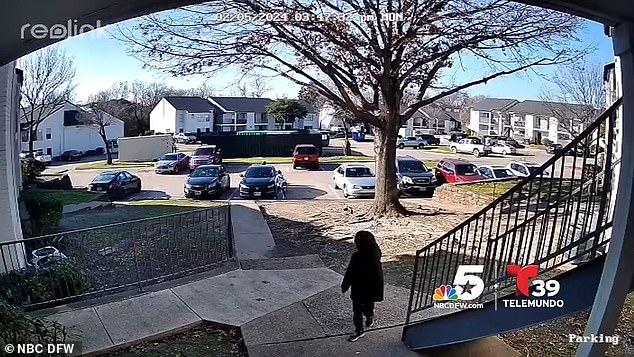 His terrified six-year-old daughter screamed and fled and his nine-year-old son jumped on top of a car to avoid the dog while trying to fight it off with his son's backpack.