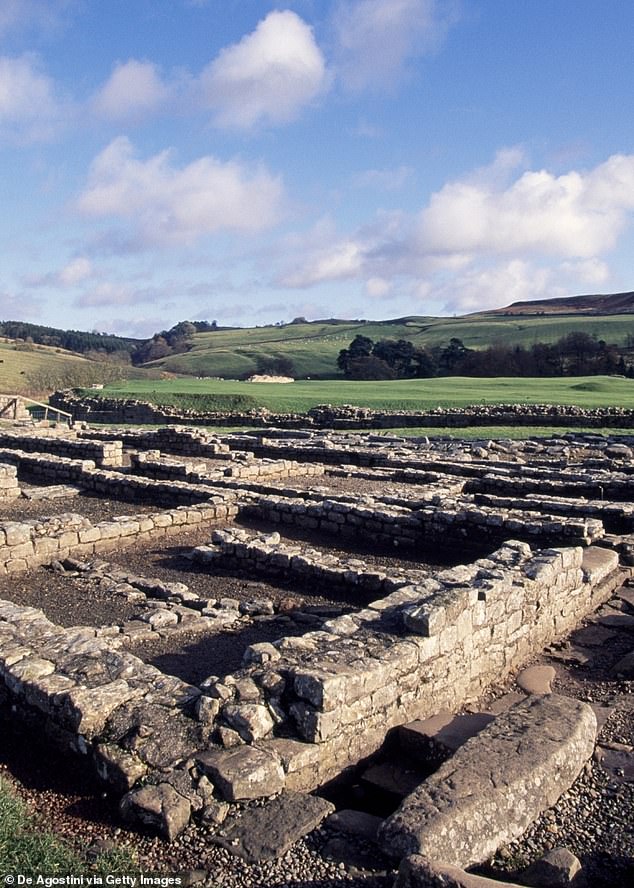 The discovery of bed bugs in Vindolanda (pictured) tells us a lot about how people lived there.