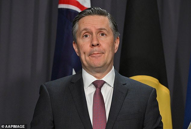 Australia's Health Minister Mark Butler has said those selling vapes must find a new way to make money.