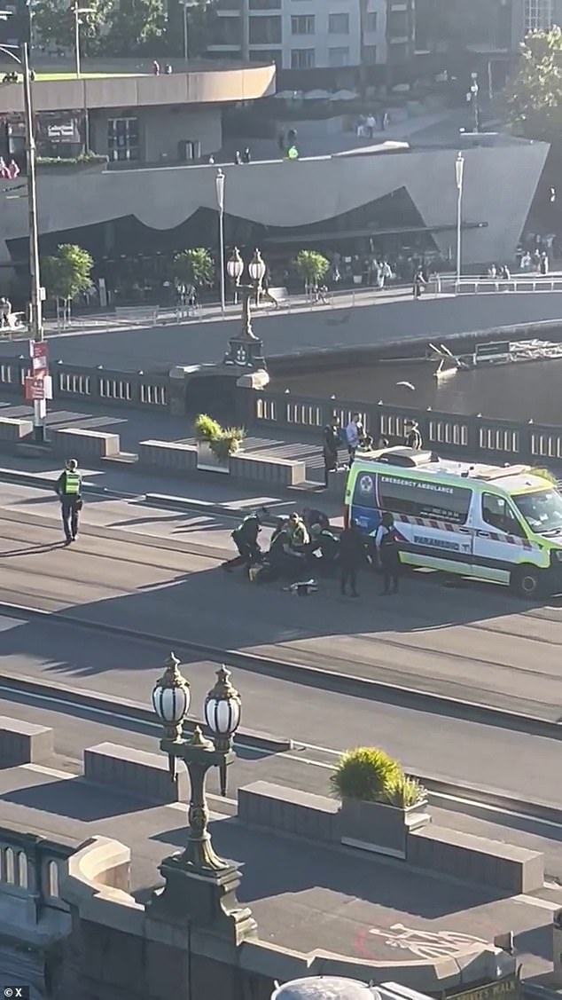 Officers (pictured) pinned a man to the ground on the bridge while emergency crews blocked access to the bridge to motorists and pedestrians.