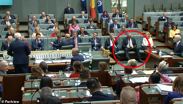Barnaby Joyce can be seen in Parliament on Wednesday wearing the same blue and white tie.