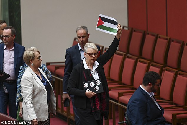 His colleague, outgoing Senator Janet Rice, held up a printed image of the Palestinian flag as she walked away.