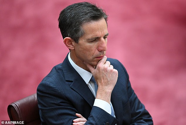 Shadow Foreign Minister Simon Birmingham argued Australia should step up to meet the demand needs of the Solomon Islands rather than China.