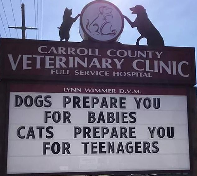 This veterinary clinic in Westminster, Maryland, posts humorous signs to make its patients feel more comfortable