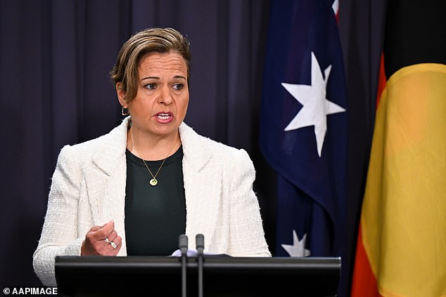 Communications Minister Michelle Rowland described these new powers, which would include information gathering and record-keeping capabilities, as a means to 