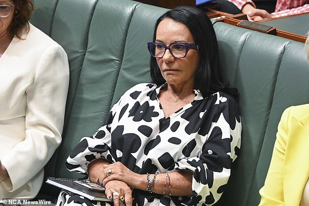 Ms Burney said the National Australian Indigenous Agency and the Department of Education would assess a proposal from Yipirinya School on its merits.