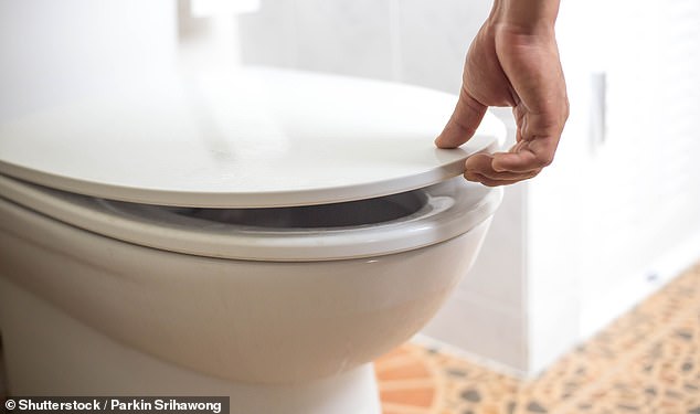 Surprisingly, the researchers found that leaving the lid open or closed made no statistically significant difference in the spread of bacteria in the bathroom.