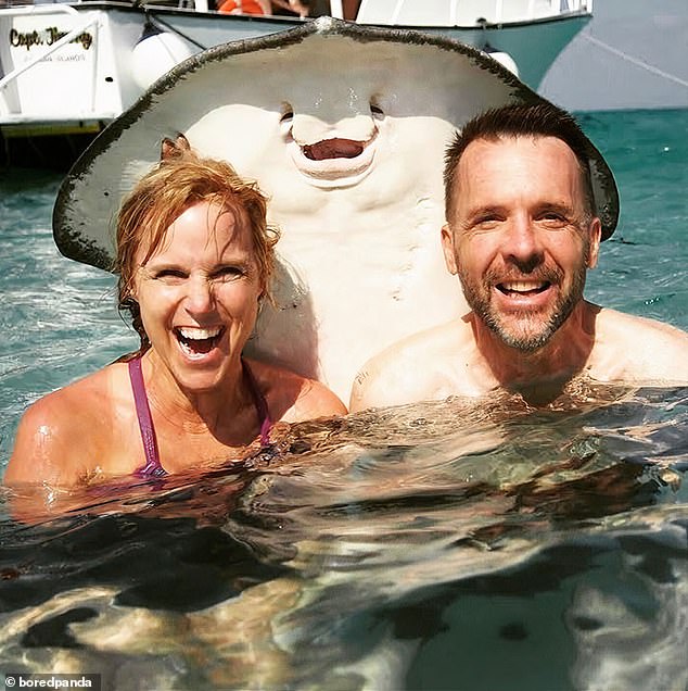 All smiles! A very happy stingray appeared to smile at the camera as he jumped out of the water behind a couple in the sea in Grand Cayman.