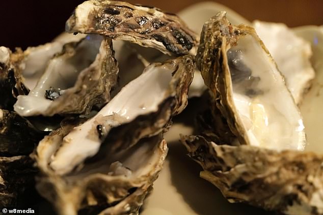 Elmira praised the oysters (pictured), but felt they were an overwhelming first date idea.