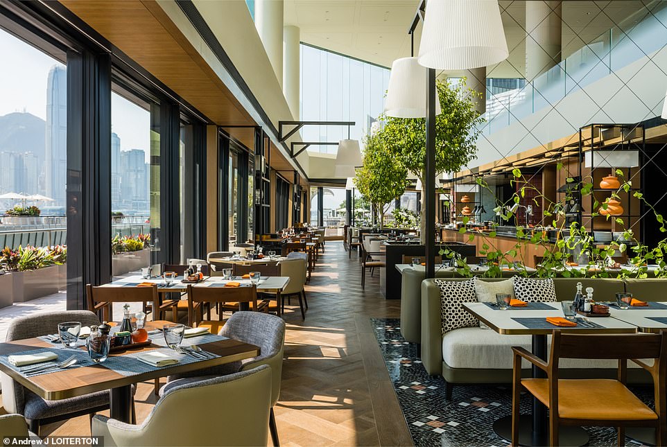 The sunny harborside lounge has stunning views across the city.