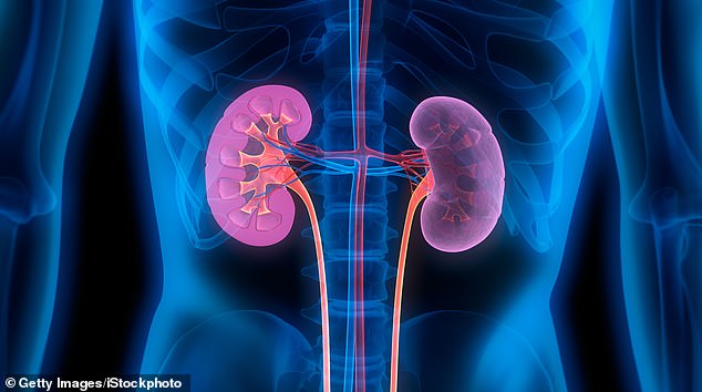 Chronic kidney disease occurs when the kidneys, which remove waste products from the blood and make urine, no longer work as well as they should.