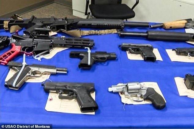 Tribal leaders say crime and overdoses are rising in their communities, and cartels 'know who to pick' (pictured: 19 firearms seized by federal agents in Montana drug raids)