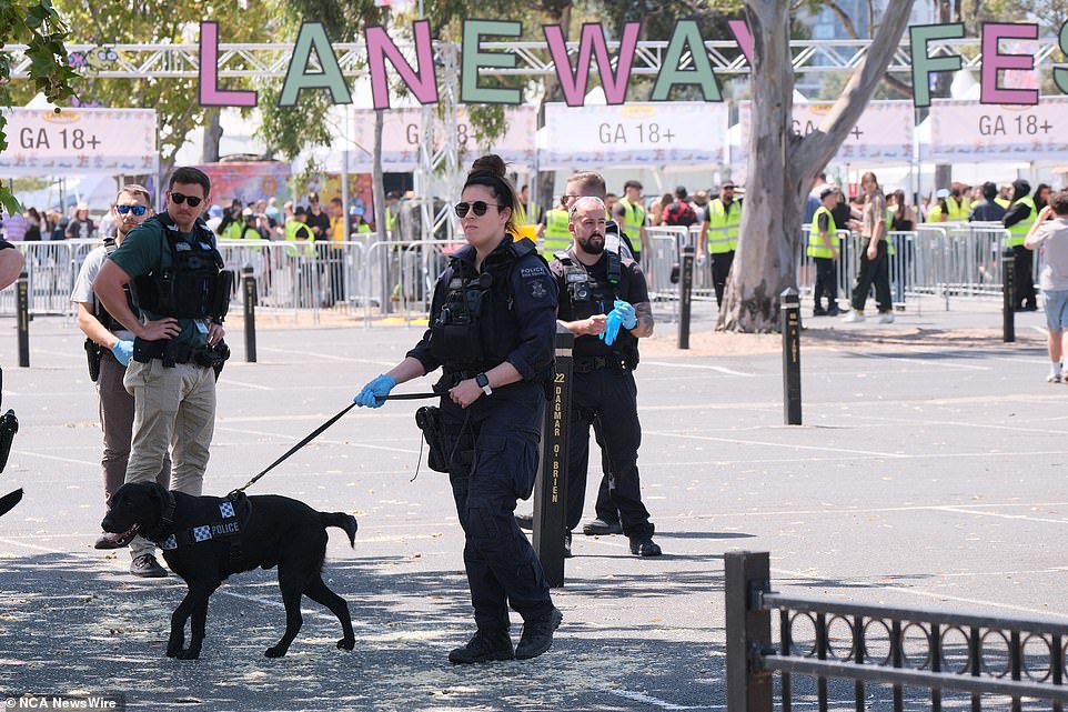 At the gates of the music festival it was common to see police officers with sniffer dogs on Saturday.