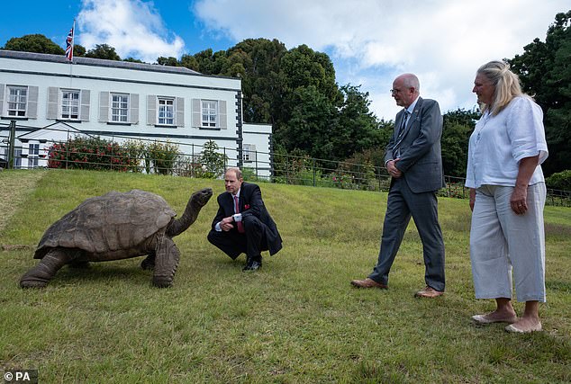 Prince Edward crouched down to meet Jonathan as the turtle craned its neck to get a closer look.