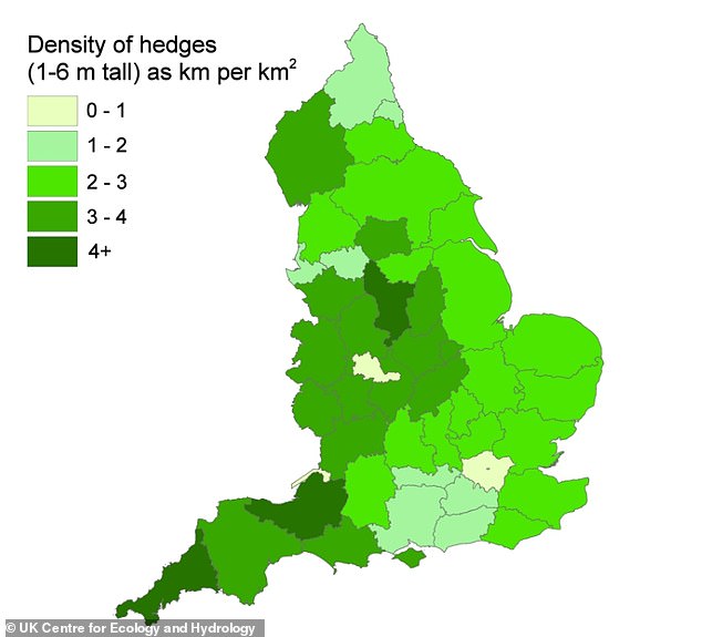 The photo shows the density of hedges (1 to 6 meters high) by county.  Cornwall, Somerset and Derbyshire have the most coverage, while those with the least include Surrey, Hampshire and Berkshire.