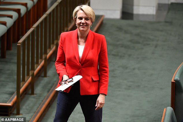 Tanya Plibersek (pictured) surprised with the cabinet reshuffle as the new Minister of Water and Environment.