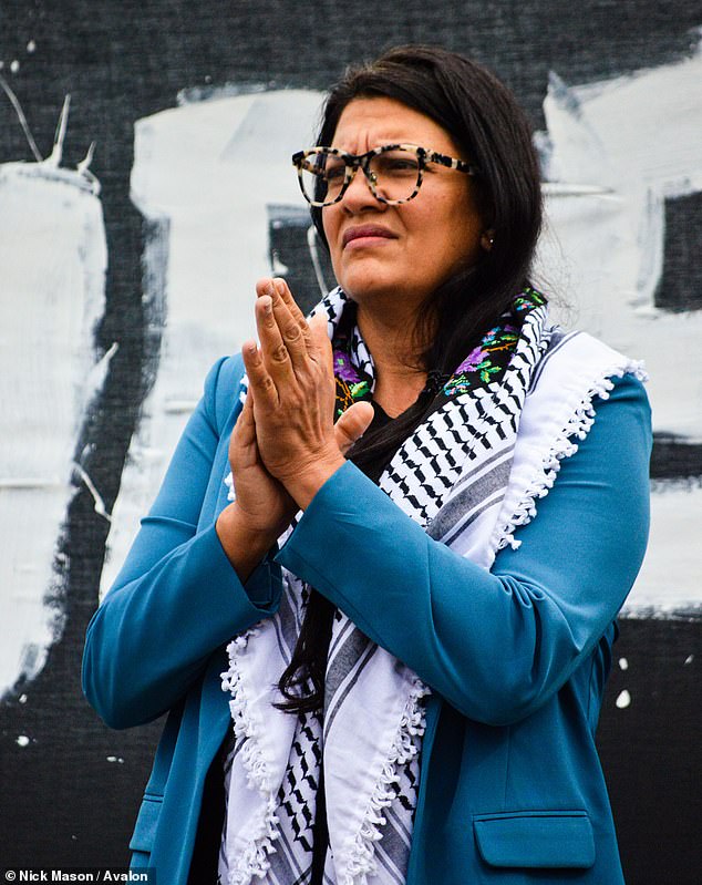 Tlaib, wearing a keffiyeh, watches her colleague, Cori Bush, speak in front of protesters on the National Mall.