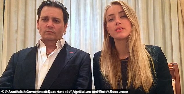 Radio host Sandilands has been locked in a long-running feud with Joyce since 2015, after he criticized the politician's decision to give former Hollywood couple Johnny Depp (left) and Amber Heard (right) 50 hours to release to their dogs from Australia or face each other.  them being sacrificed