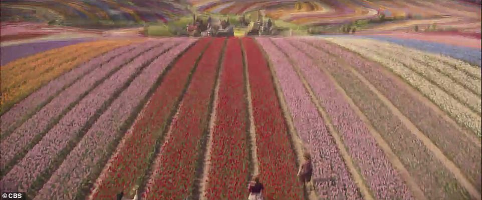 Fields of pink, purple, blue and yellow can be seen from miles away.