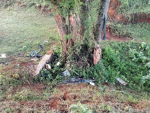 Lagat shared two images of a tree and what appeared to be remains of a nearby vehicle.