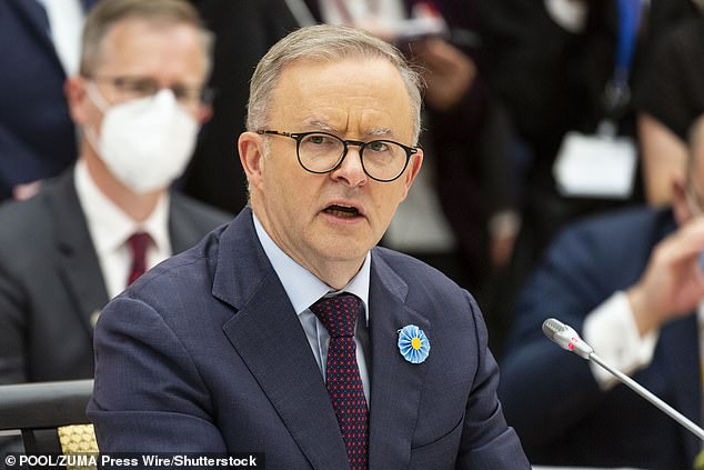 Australian Prime Minister Anthony Albanese is pictured wearing his prominent bright blue badge at the Quad leaders summit on May 24, 2022 in Tokyo, Japan. The insignia is a chrysanthemum and is designed to distinguish him as an important person, in case he is not recognized.