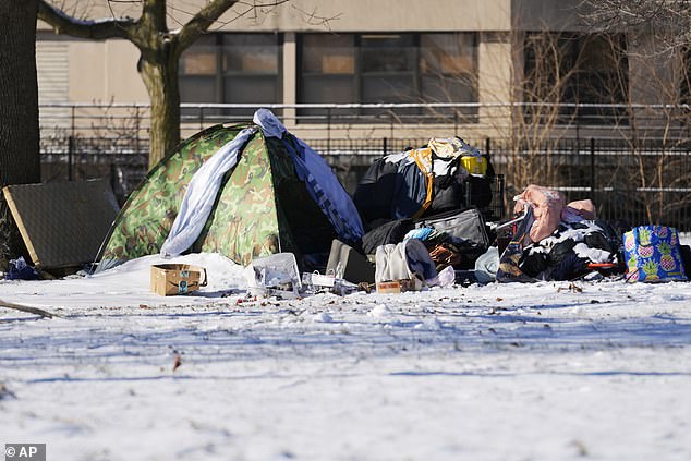 A homeless tent is seen across Montrose Beach in Chicago