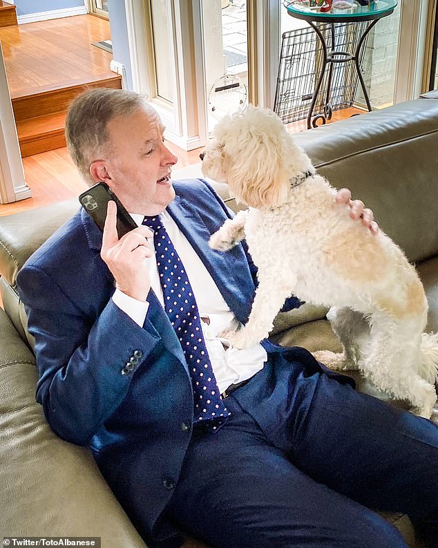 A post at the top of the page has a sweet image of Mr. Albanese taking a phone call on a couch while Toto is seen sitting next to him.
