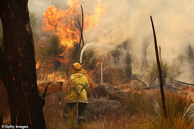 Bushfires devastated parts of western Victoria with many people forced to flee their homes (file image)