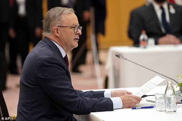 Australian Prime Minister Anthony Albanese speaks during the Quad leaders' summit meeting