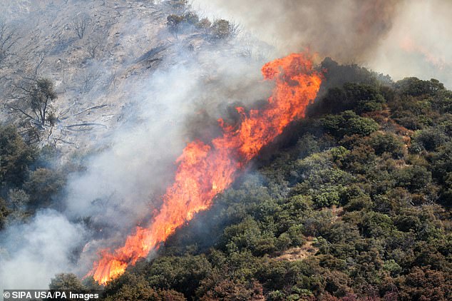 The wildfire is shown moving up the slopes of the San Bernardino National Forest.