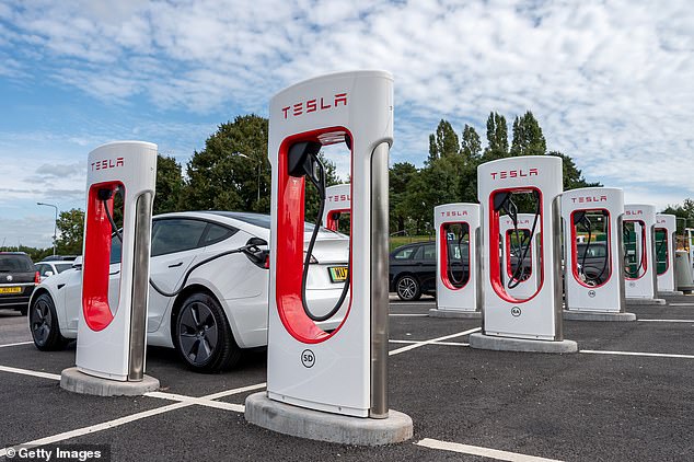 Musk had tweeted that he could implement a 1950s diner-style food service at Tesla Superchargers (pictured: a Supercharger station in Exeter).