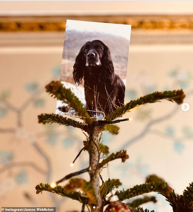 The businessman revealed that there is a tinge of sadness hanging over the celebrations following the death of his beloved dog Ella, who occupied a prominent place at the top of the Christmas tree.