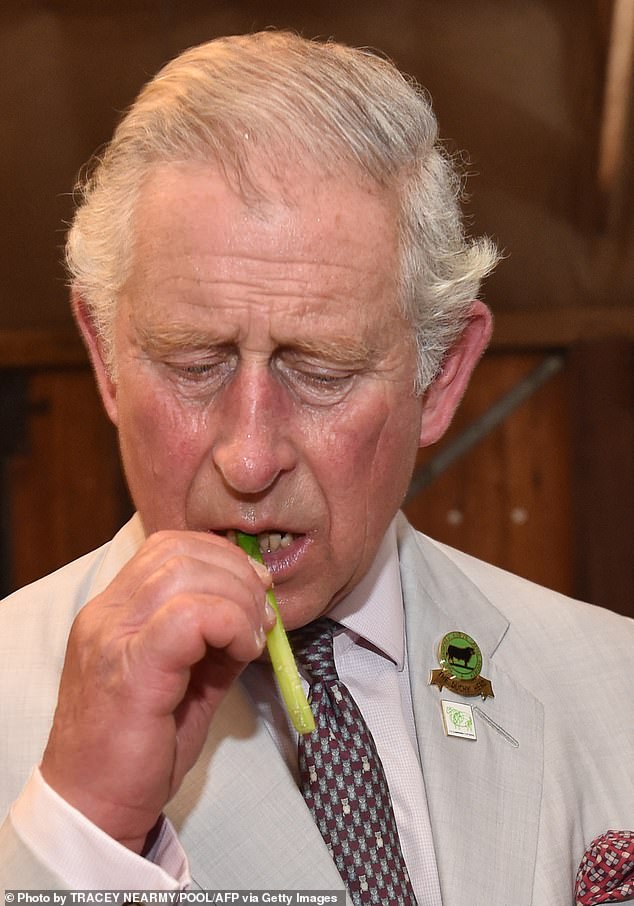 Pictured: King Charles tries local asparagus at Oranje Tractor Center during a visit to Albany on November 14, 2015.