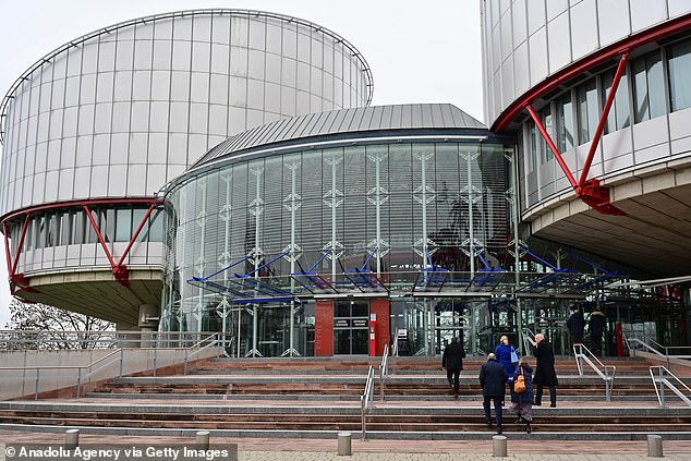 The ECHR, which ruled on the matter today, concluded that the police had made no effort to keep the accused away from her (FILE IMAGE)